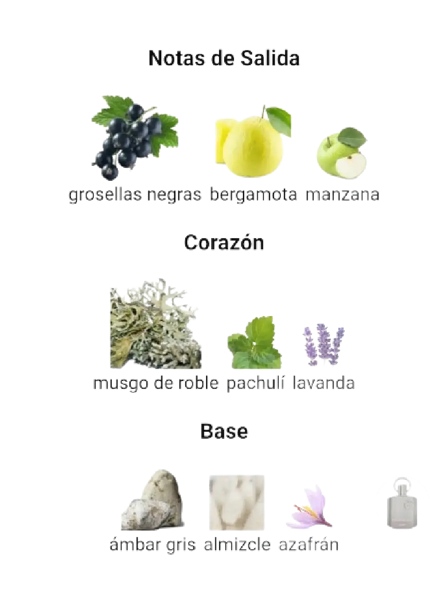 Afnan Supremacy Not Only Intense De Afnan 100 ML Hombre RF: 10004 4