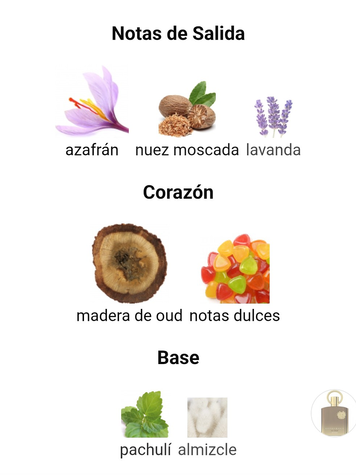 Afnan Supremacy In Oud De Afnan 100 ML Hombre EDP RF: 9953 4