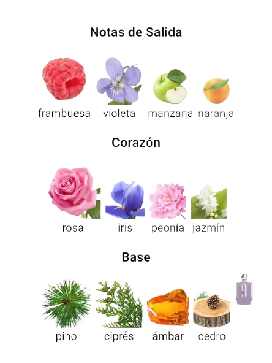 Afnan 9 Pm De Afnan 100 ML Mujer EDP RF: 9882 4