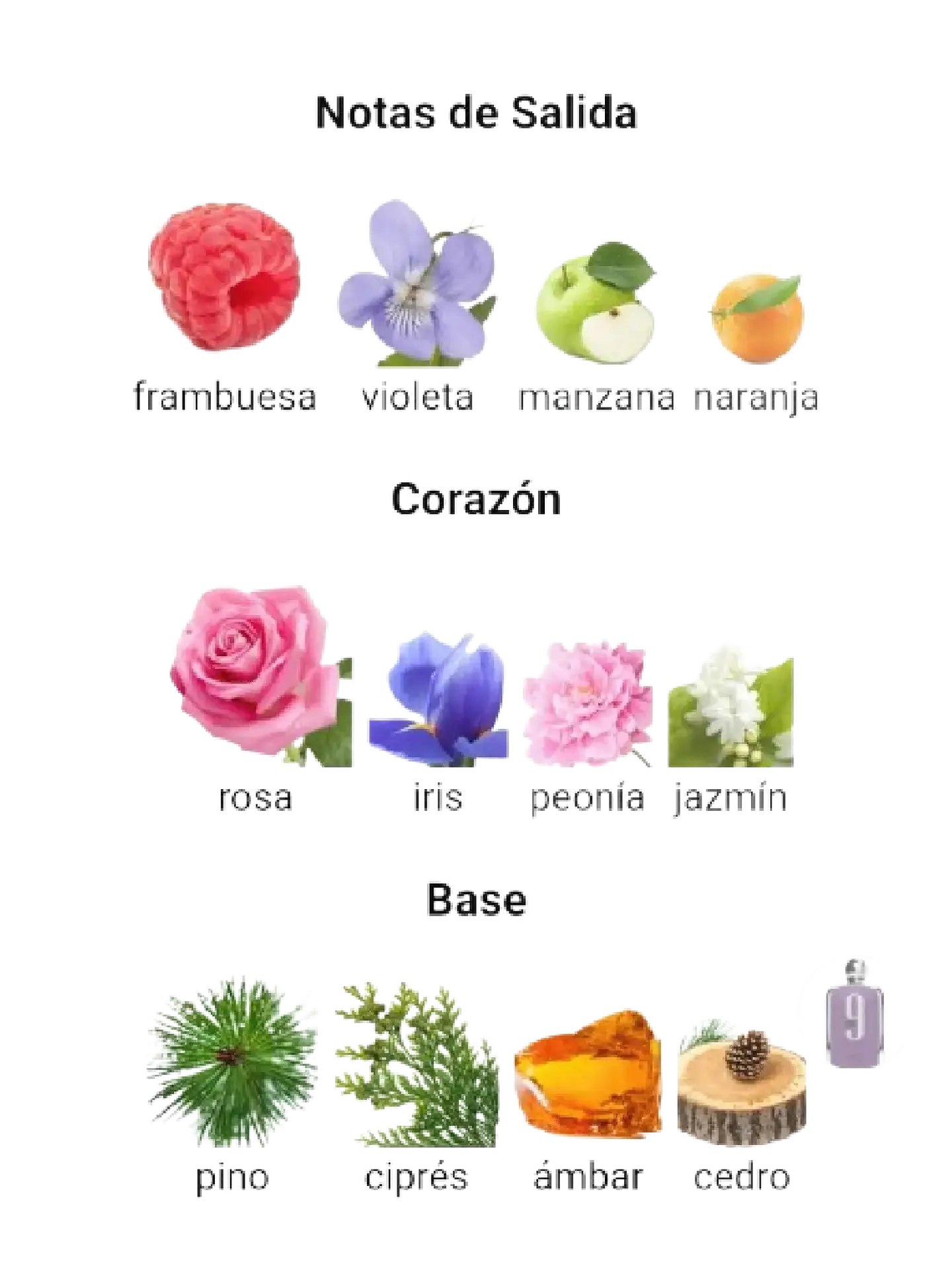 Afnan 9 Pm De Afnan 100 ML Mujer EDP RF: 9882 4