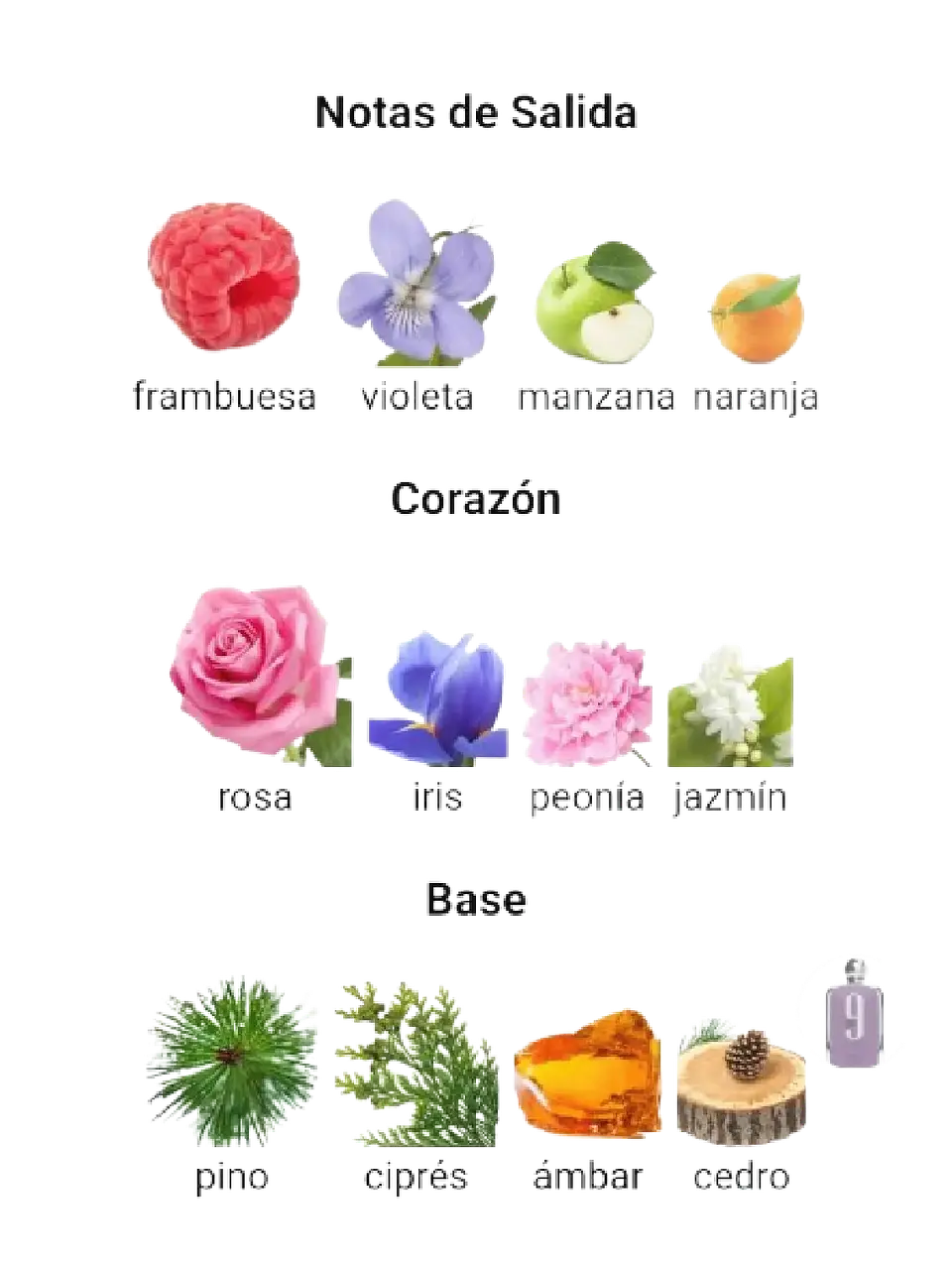 Afnan 9 Pm De Afnan 100 ML Mujer EDP RF: 9882 4