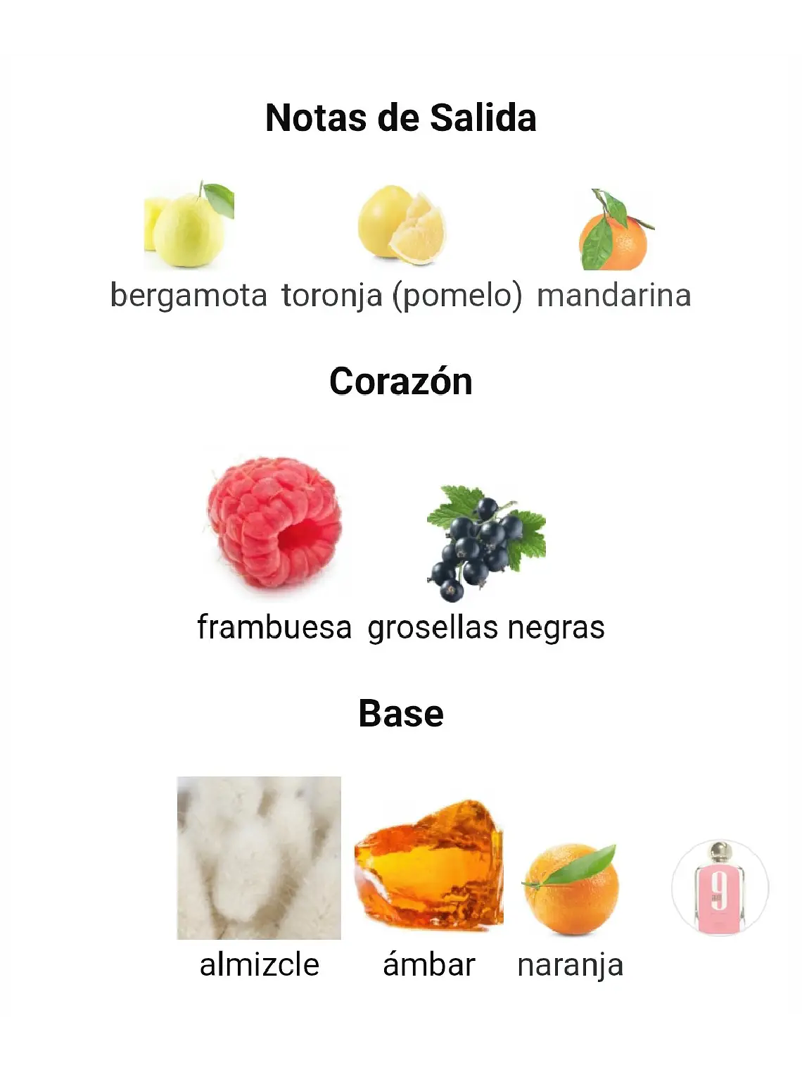 Afnan 9 Am Pour Femme De Afnan 100 ML Mujer EDP RF: 9878 4