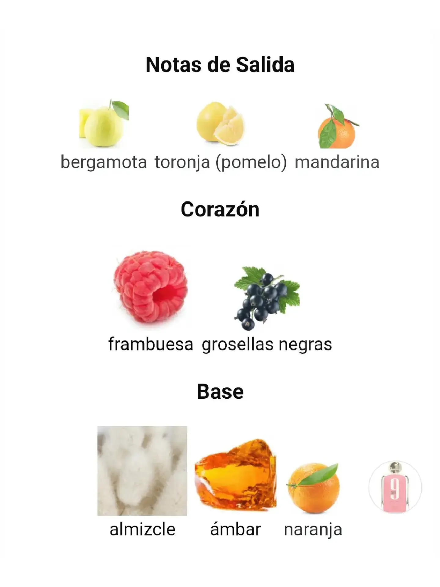 Afnan 9 Am Pour Femme De Afnan 100 ML Mujer EDP RF: 9878 4