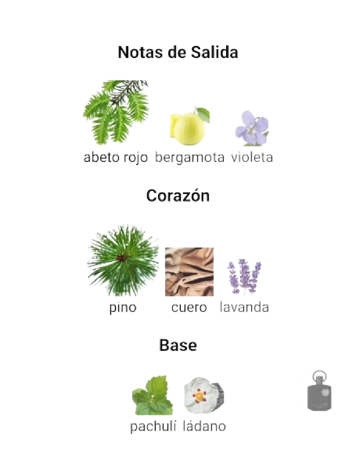 Afnan Supremacy Noir De Afnan 100 ML Hombre EDP RF: 9753 4