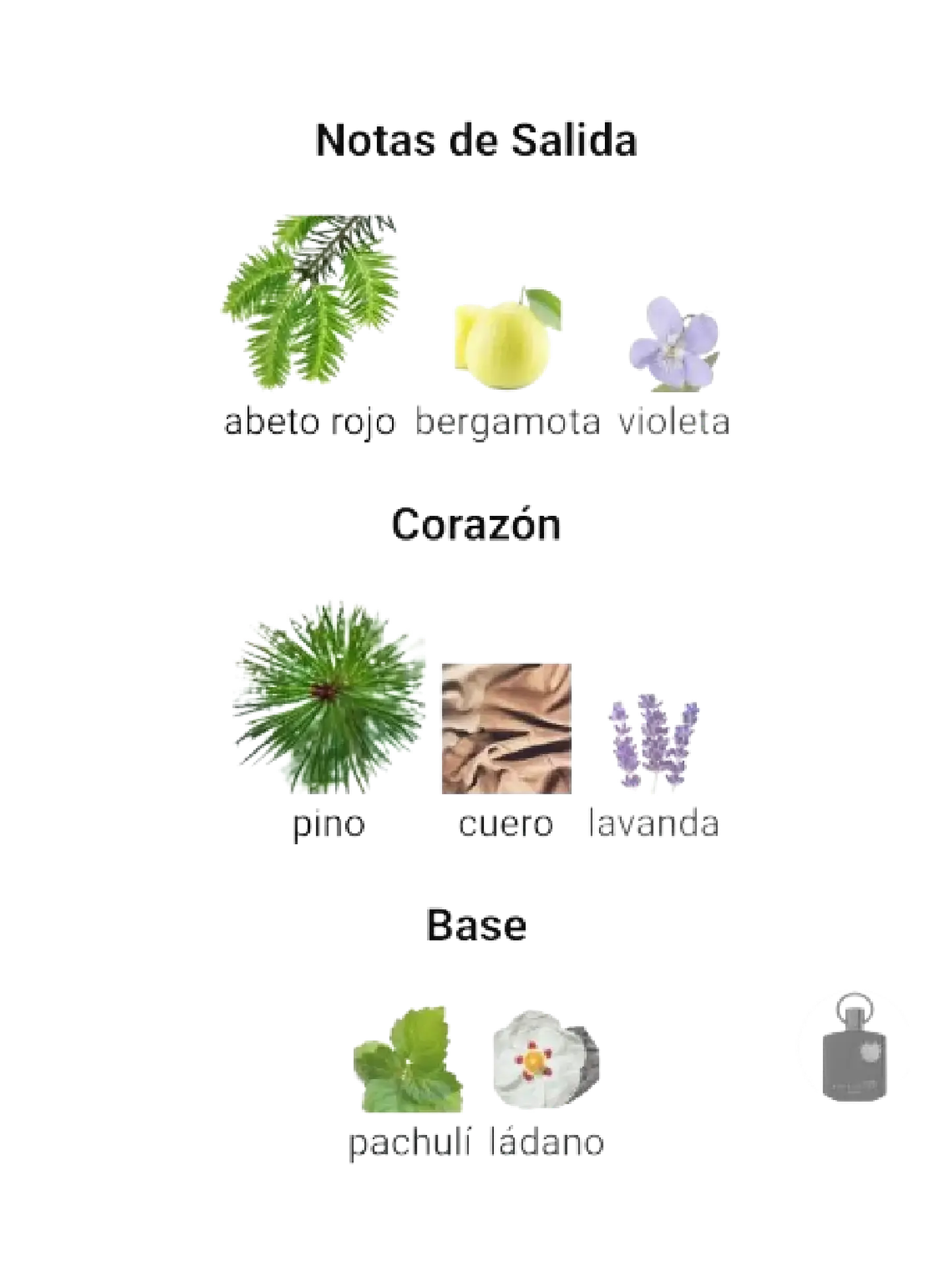 Afnan Supremacy Noir De Afnan 100 ML Hombre EDP RF: 9753 4