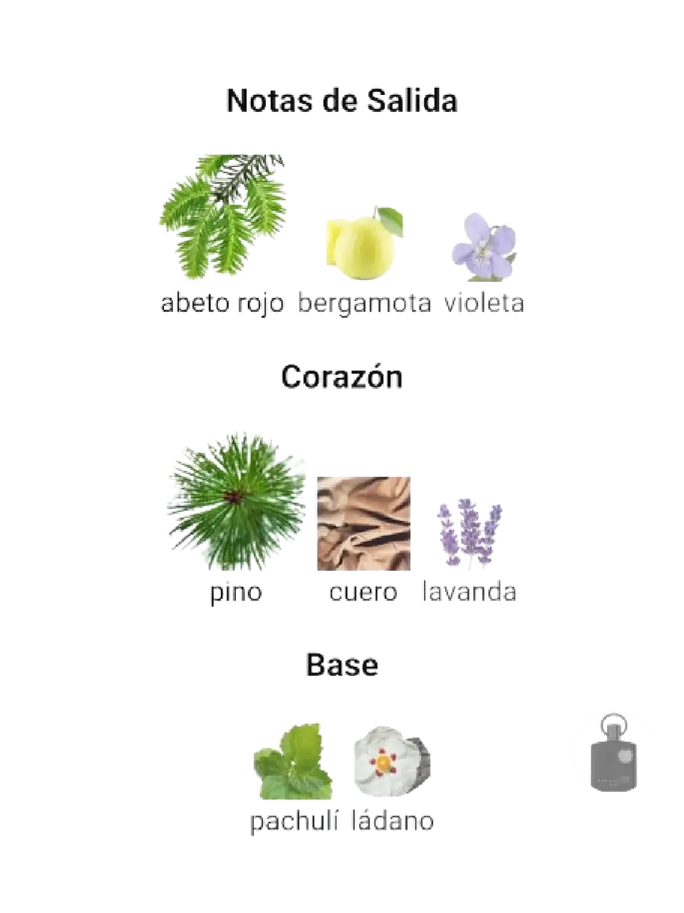 Afnan Supremacy Noir De Afnan 100 ML Hombre EDP RF: 9753 4