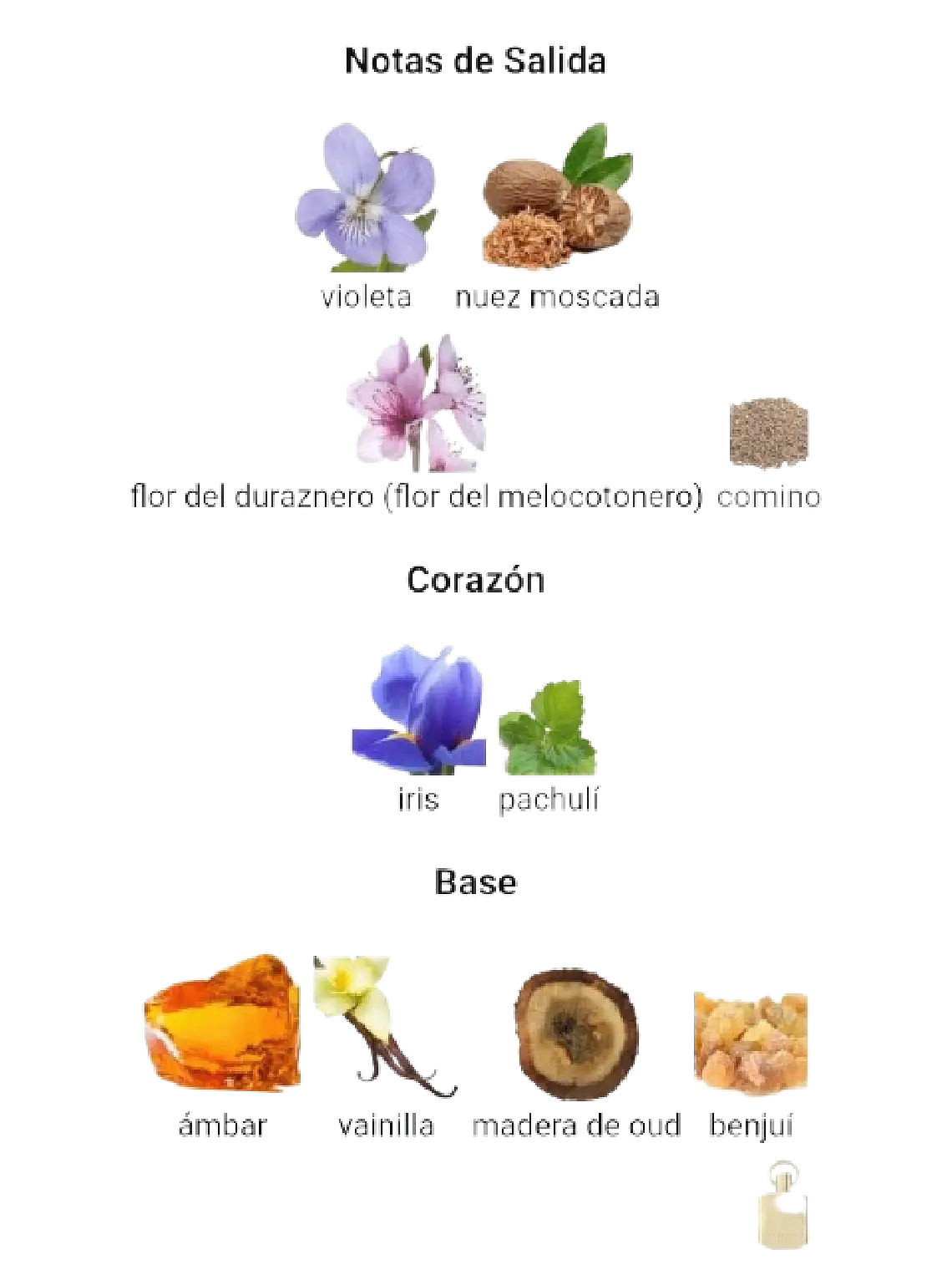 Afnan Supremacy Gold De Afnan 100 ML Unisex EDP RF: 9752 4