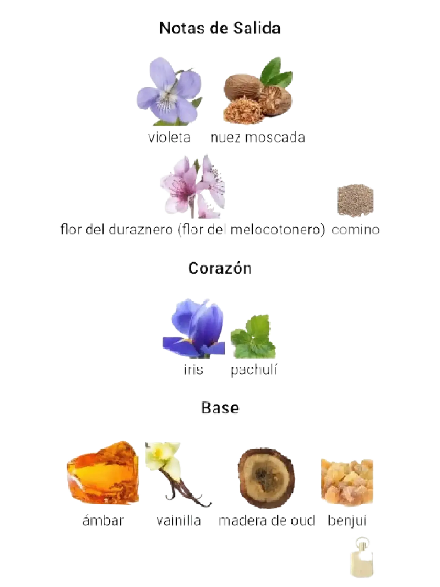 Afnan Supremacy Gold De Afnan 100 ML Unisex EDP RF: 9752 4