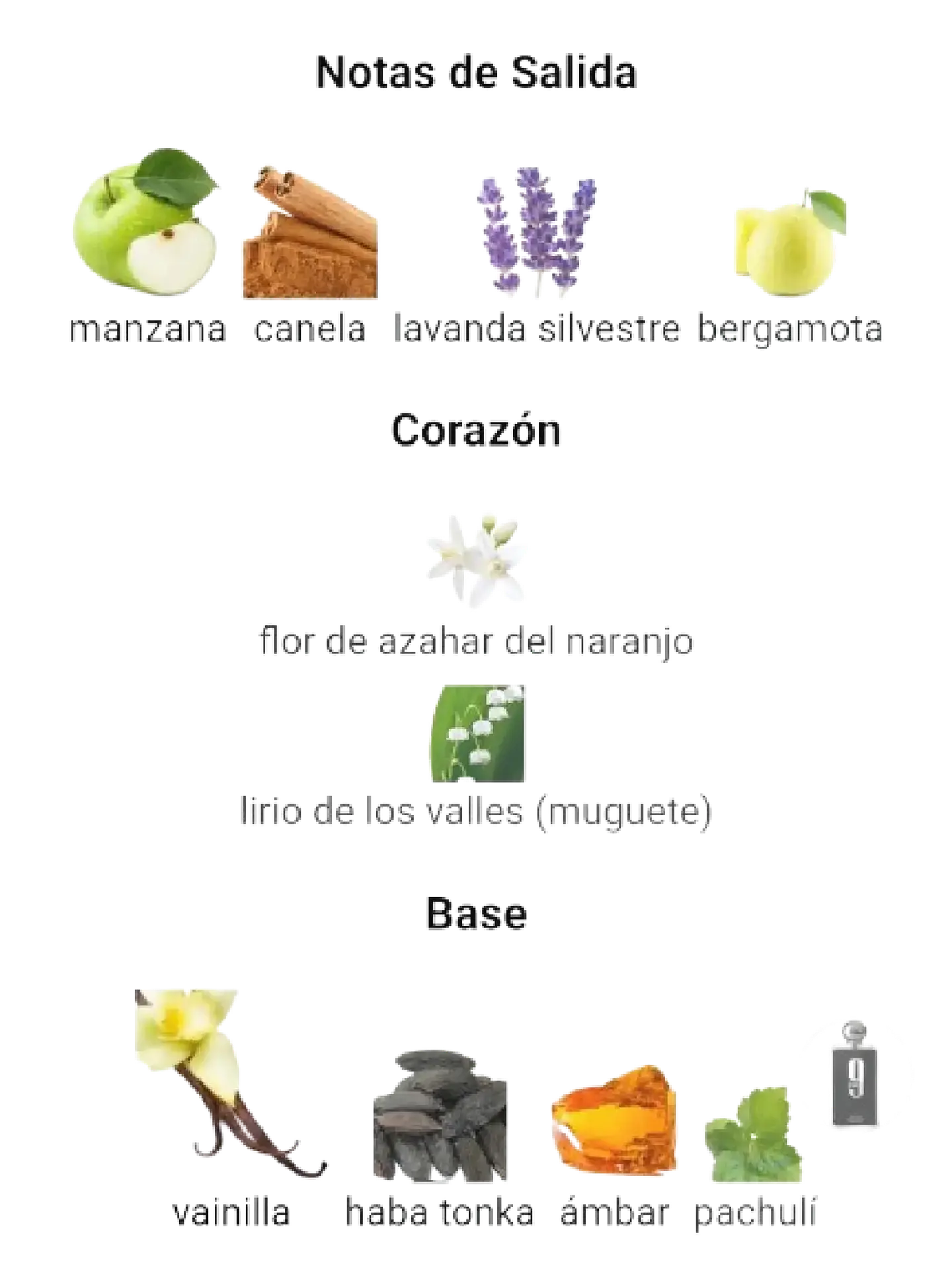 Afnan 9 Pm De Afnan 100 ML Hombre EDP RF: 9750 4