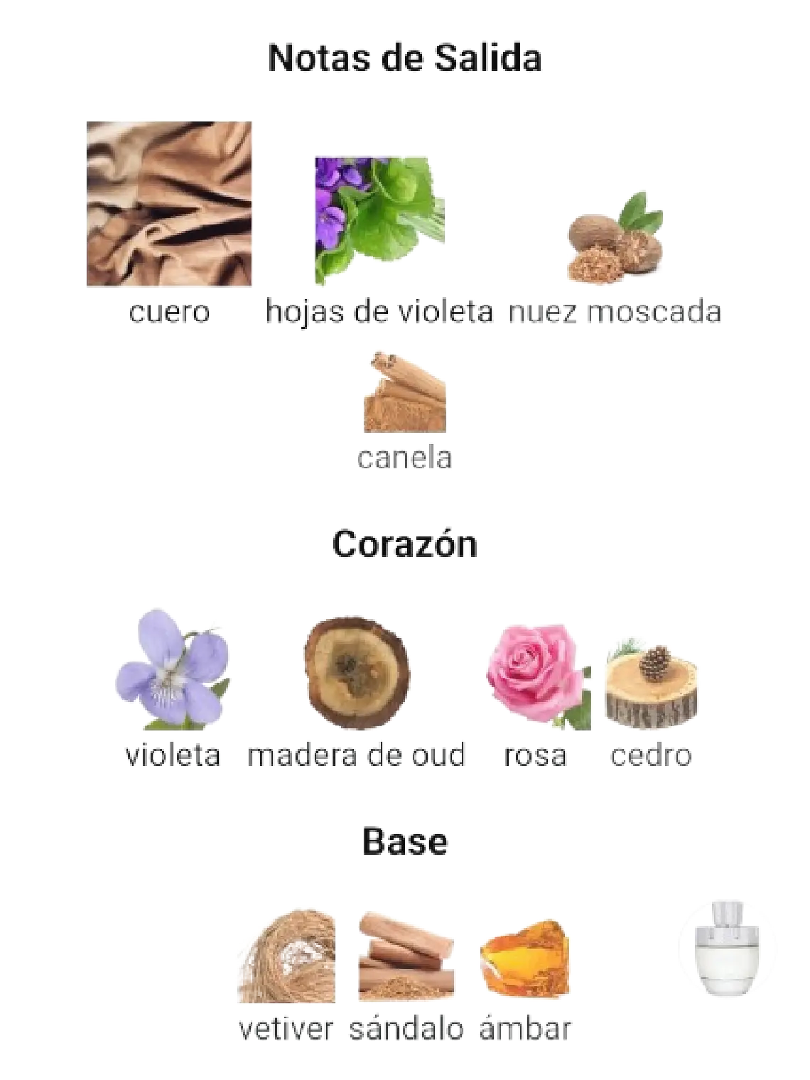 Afnan Rare Carbon Afnan Hombre 100 Ml EDP RF: 11273 4