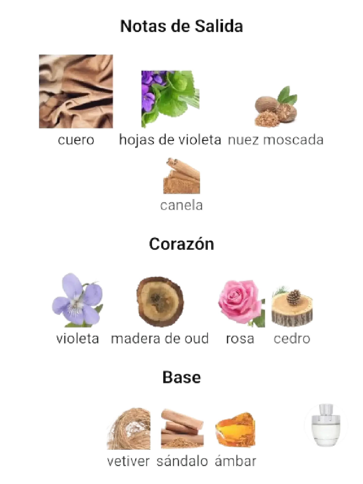 Afnan Rare Carbon Afnan Hombre 100 Ml EDP RF: 11273 4