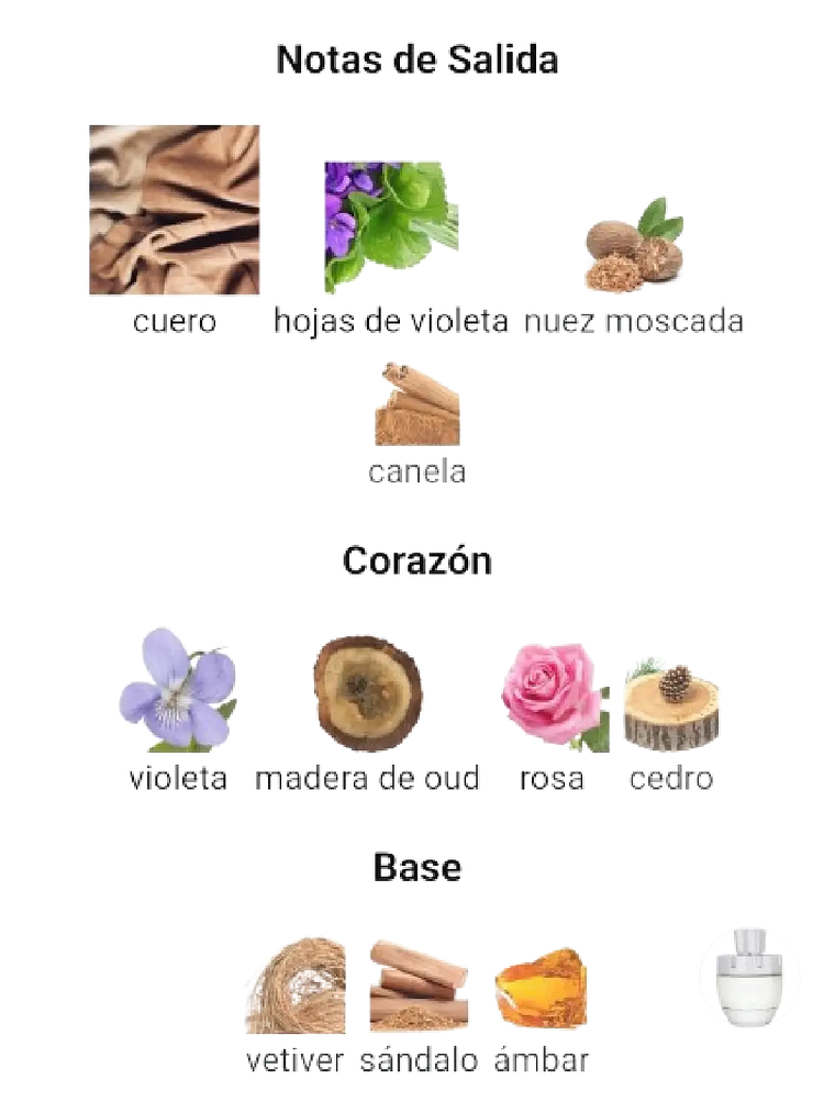 Afnan Rare Carbon Afnan Hombre 100 Ml EDP RF: 11273 4