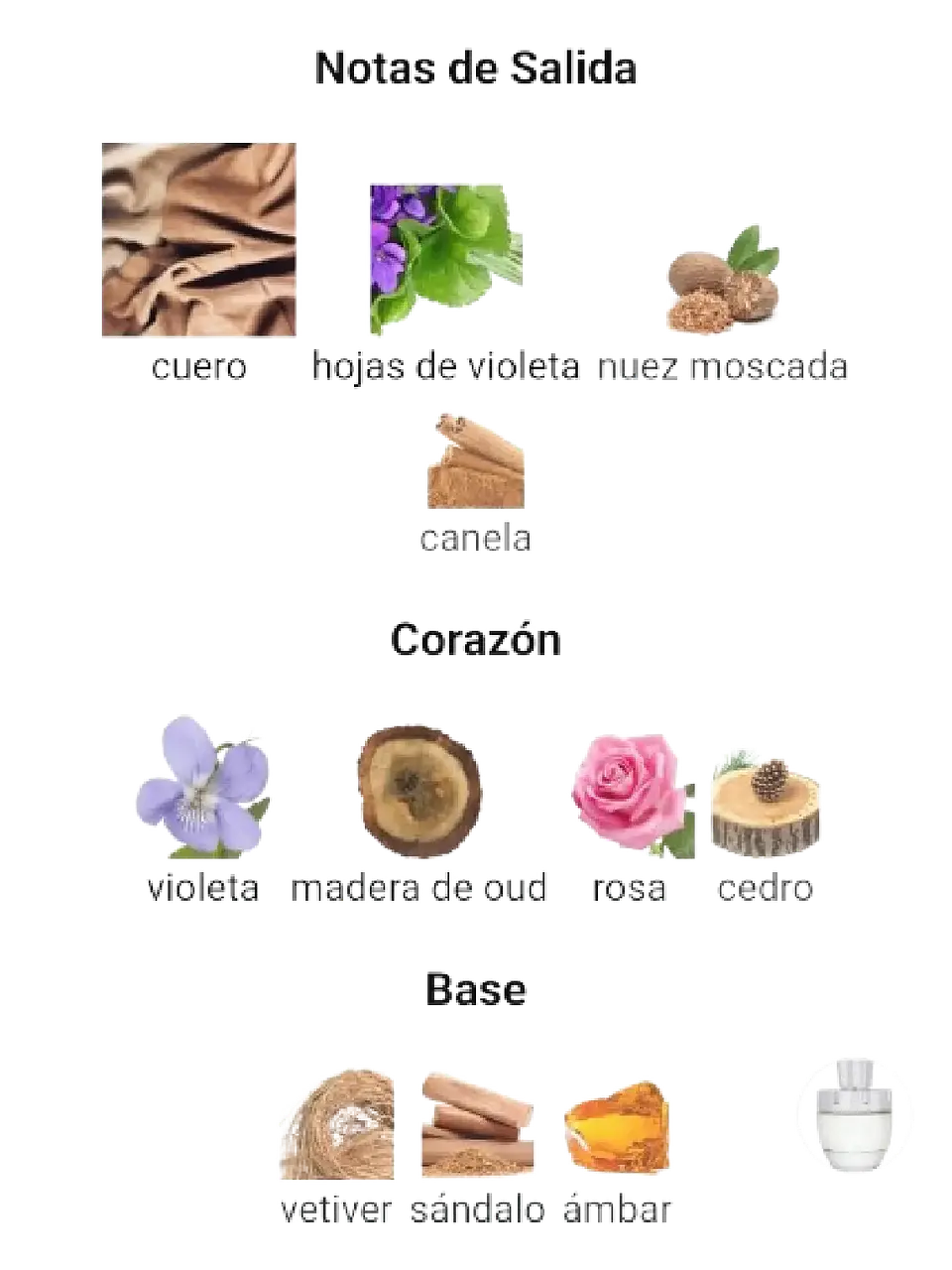 Afnan Rare Carbon Afnan Hombre 100 Ml EDP RF: 11273 4