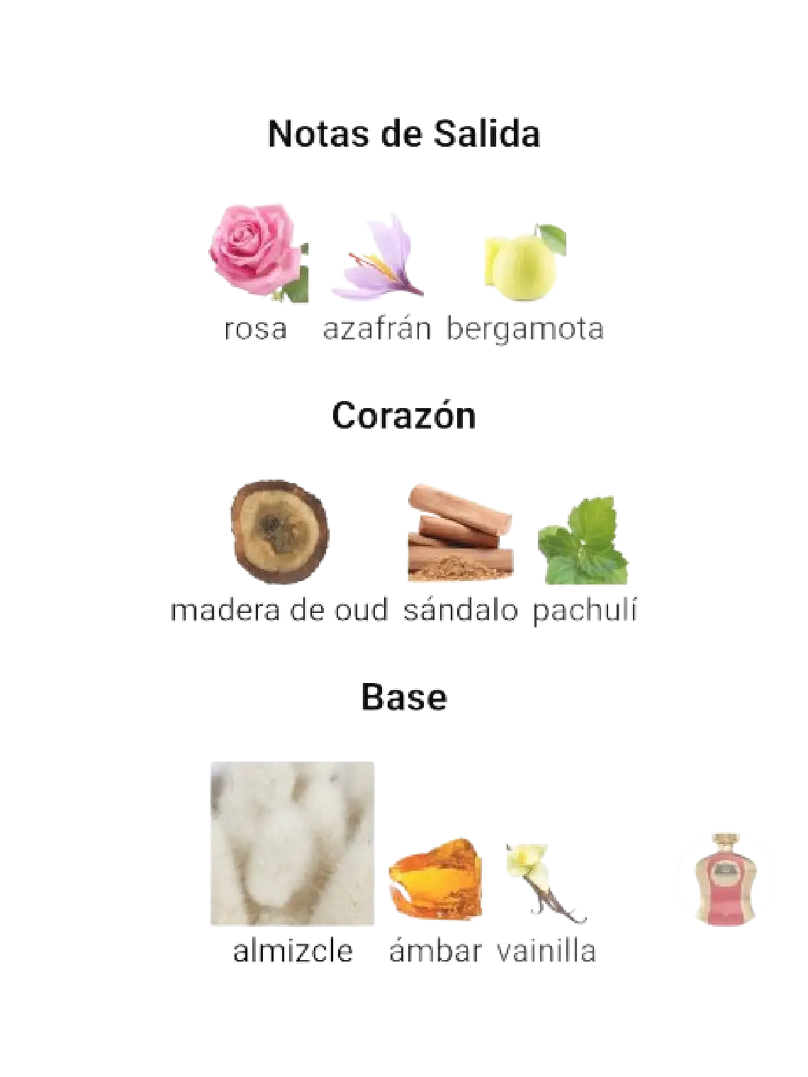 Afnan Highness IV De Afnan Dama 100 ML EDP RF: 10433 4