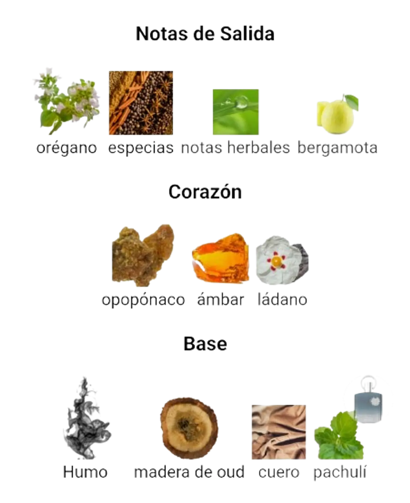 Afnan Supremacy Incense De Afnan 100 ML Hombre EDP RF: 10003 4