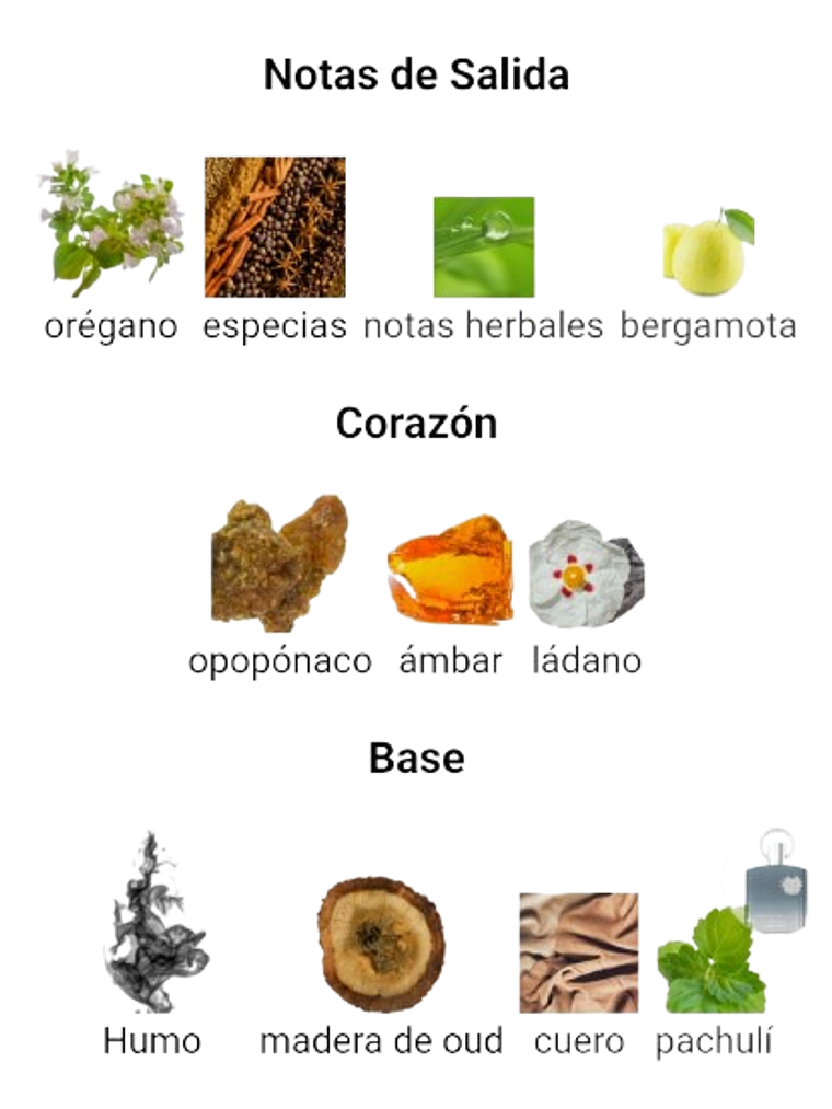 Afnan Supremacy Incense De Afnan 100 ML Hombre EDP RF: 10003 4