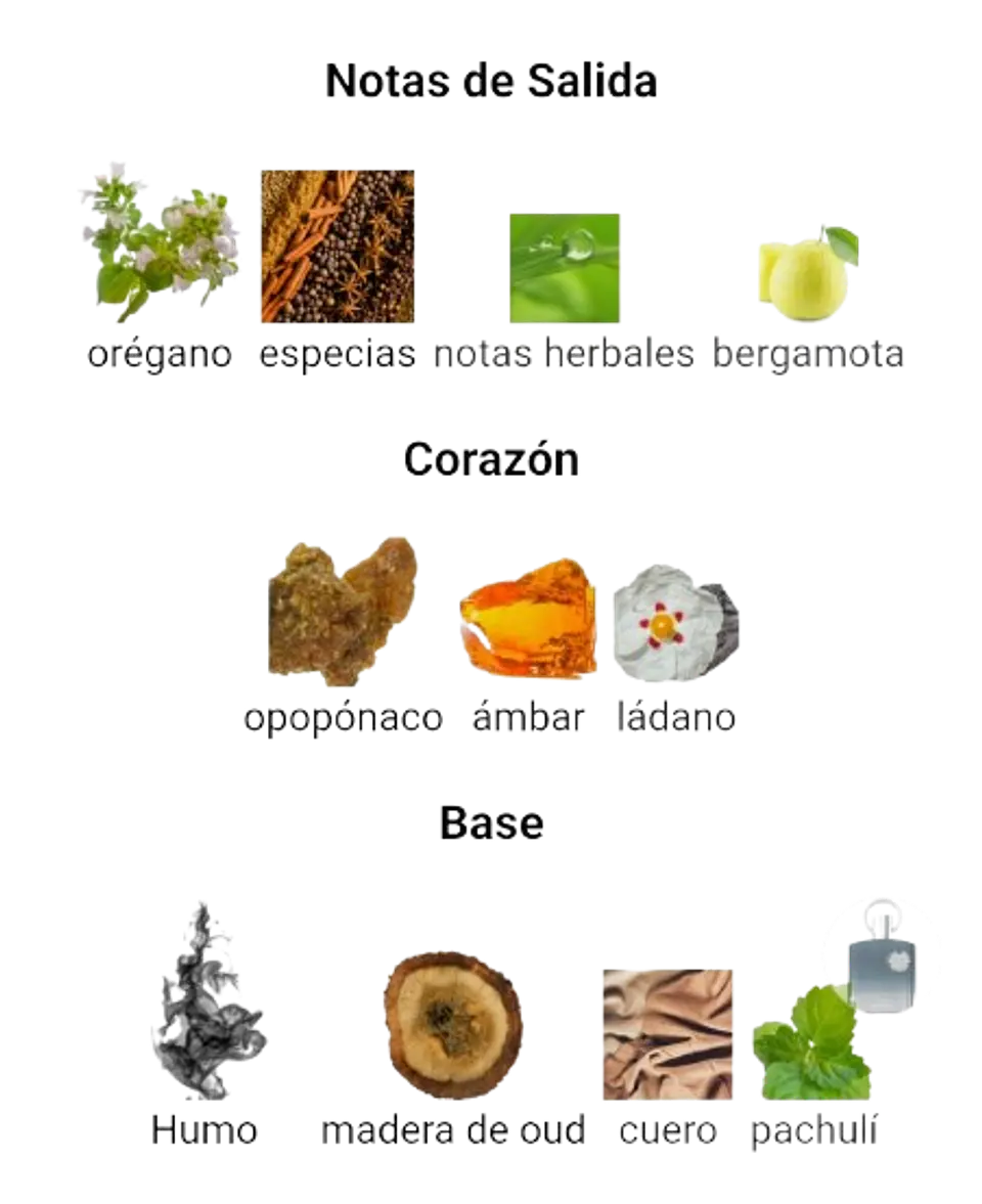 Afnan Supremacy Incense De Afnan 100 ML Hombre EDP RF: 10003 4