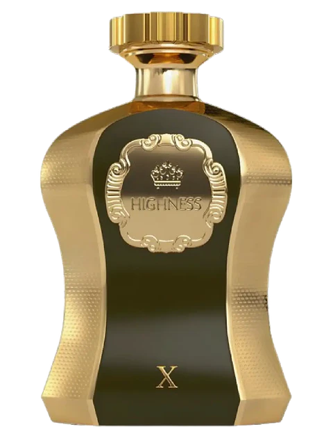 Afnan Highness X De Afnan Hombre 100 ML EDP RF: 10428