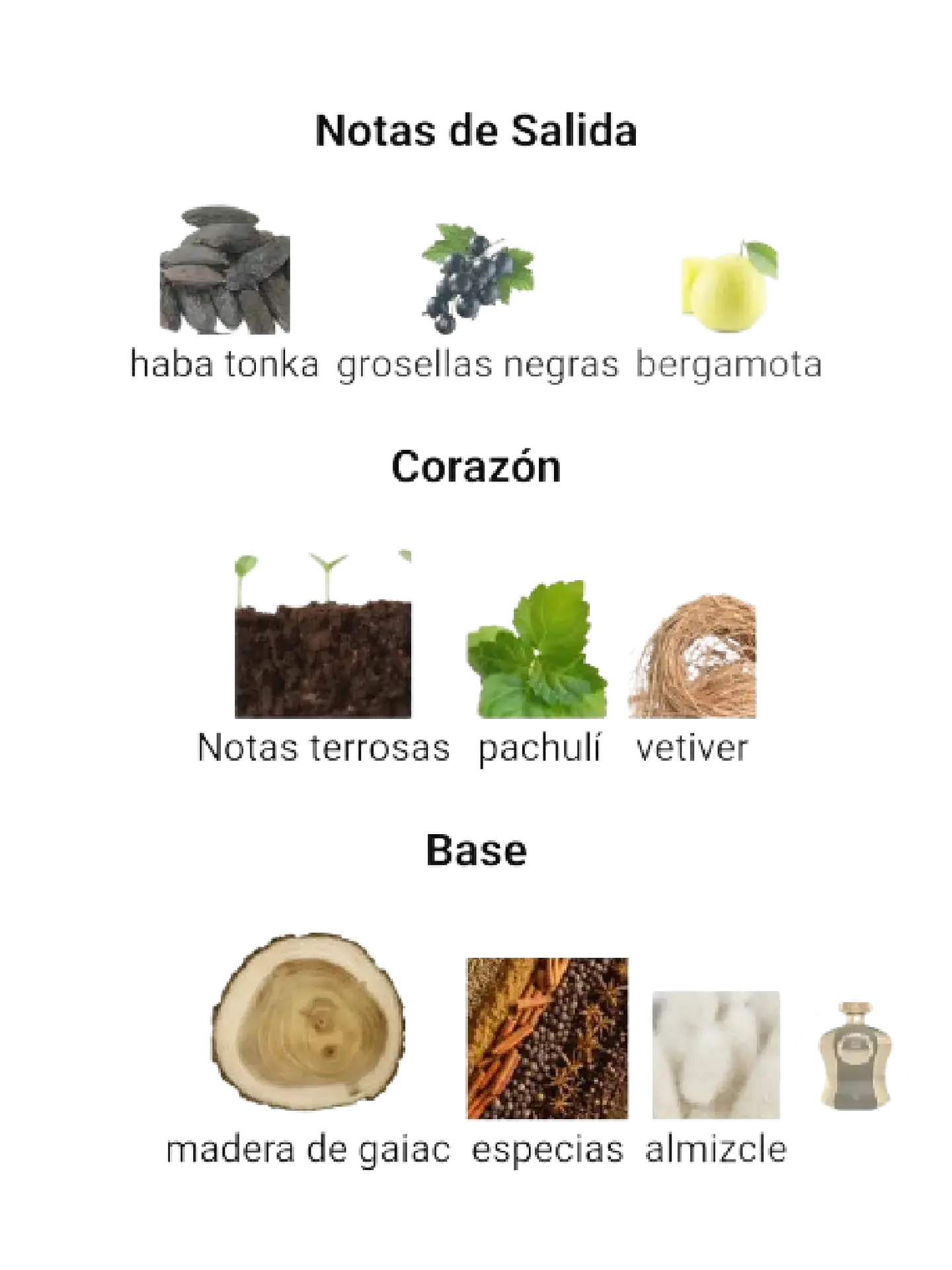 Afnan Highness X De Afnan Hombre 100 ML EDP RF: 10428 4