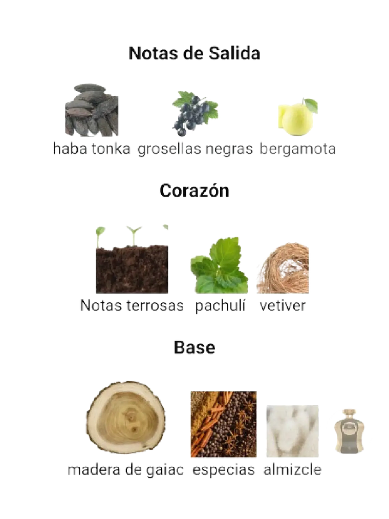 Afnan Highness X De Afnan Hombre 100 ML EDP RF: 10428 4