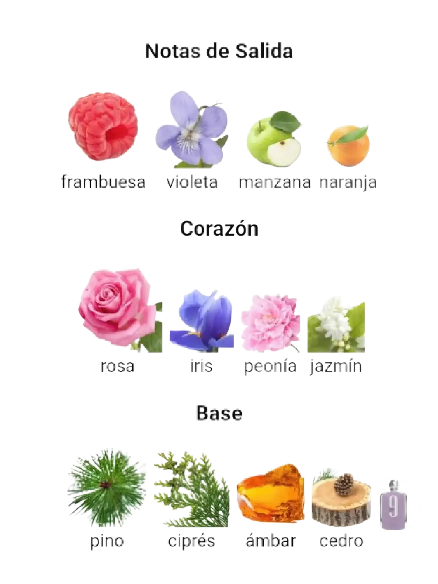 Afnan Set 9 PM Afnan Para Dama 4 Pcs EDP RF: 11734 3