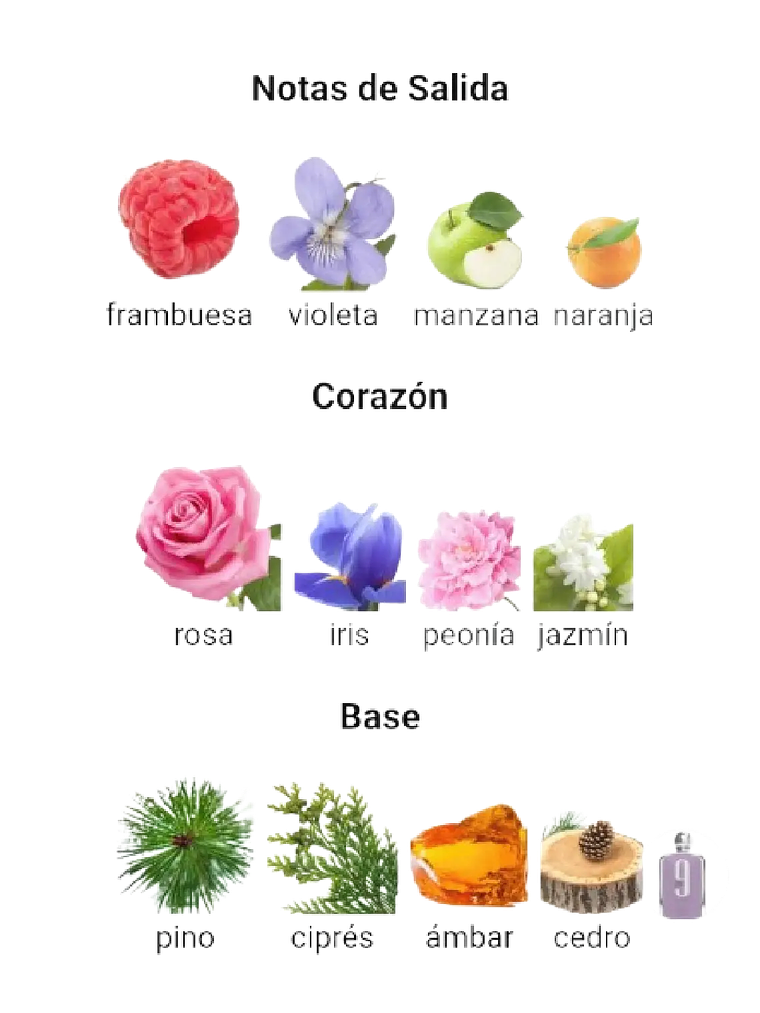 Afnan Set 9 PM Afnan Para Dama 4 Pcs EDP RF: 11734 3