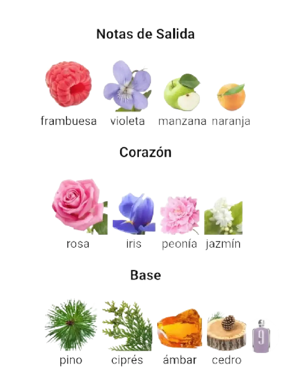 Afnan Set 9 PM Afnan Para Dama 4 Pcs EDP RF: 11734 3