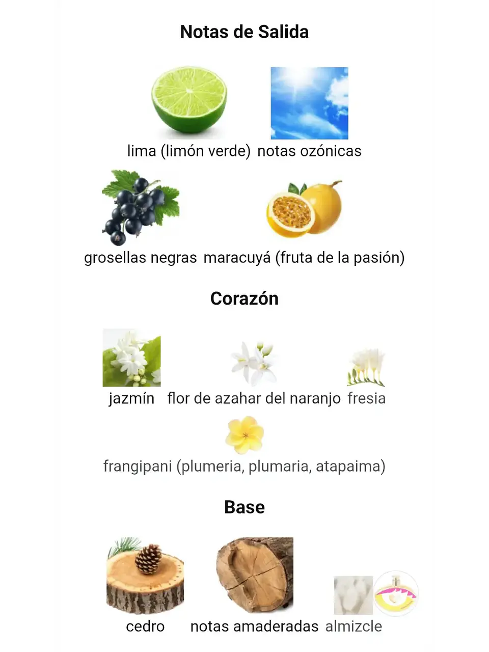 Agatha Ruiz De La Prada Look Gold Agatha Ruiz De La Prada 80 Ml EDT RF: 10709 4