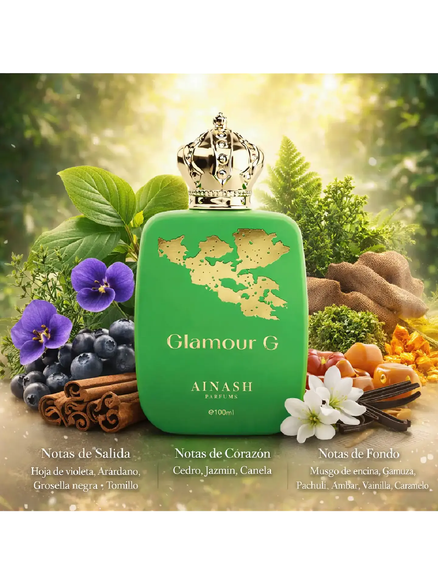 Ainash Glamour G Ainash Parfum 100 Ml Unisex RF: 11385 3