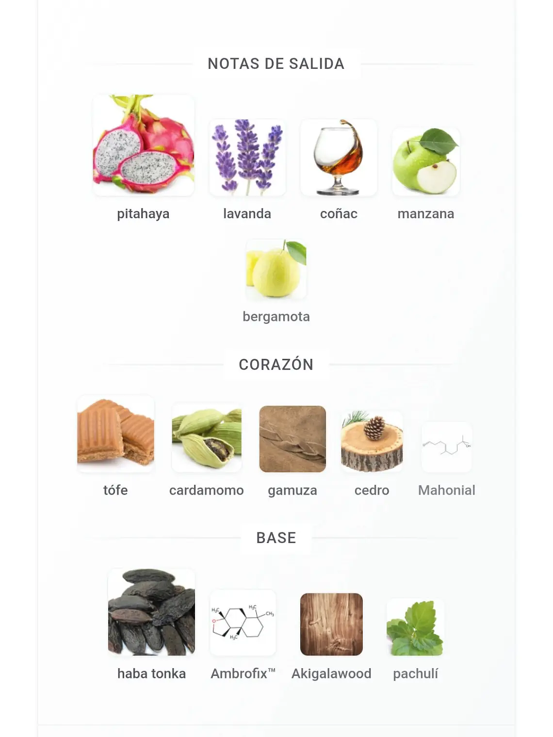 Afnan 9 PM Night Out Afnan 100 ML Extrait De Parfum RF: 11994 4