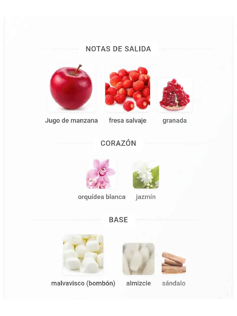 Ariana Grande Thank U Next 2.0 Ariana Grande 100 Ml EDP RF: 11812 4