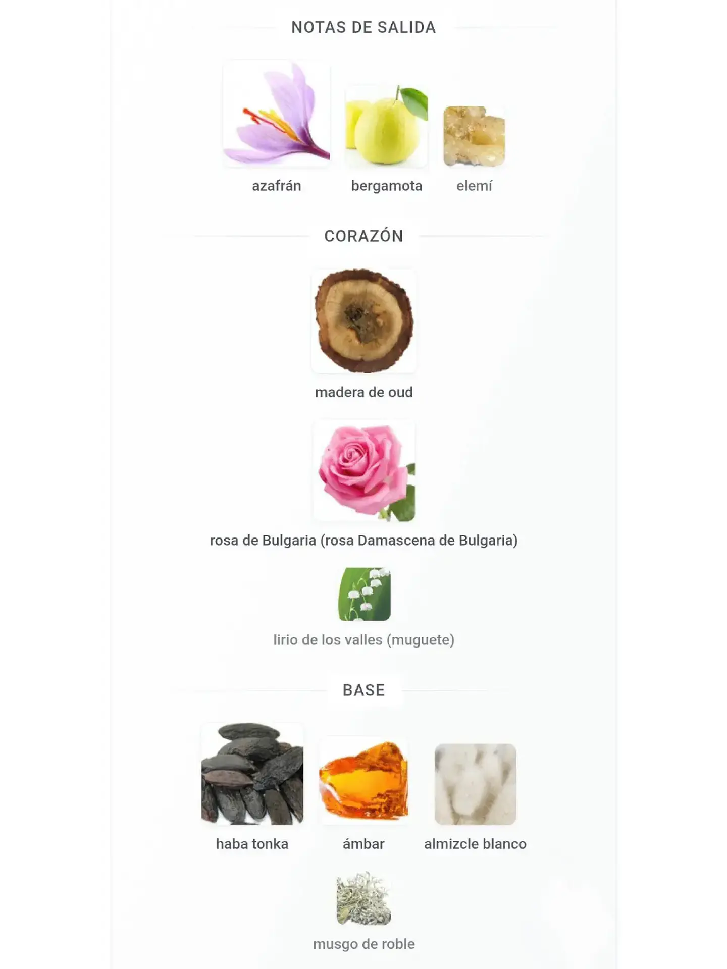 Amber Oud Dubai Night Al Haramain 75 Ml EDP RF: 10855 4