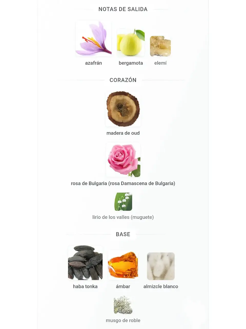 Amber Oud Dubai Night Al Haramain 75 Ml EDP RF: 10855 4