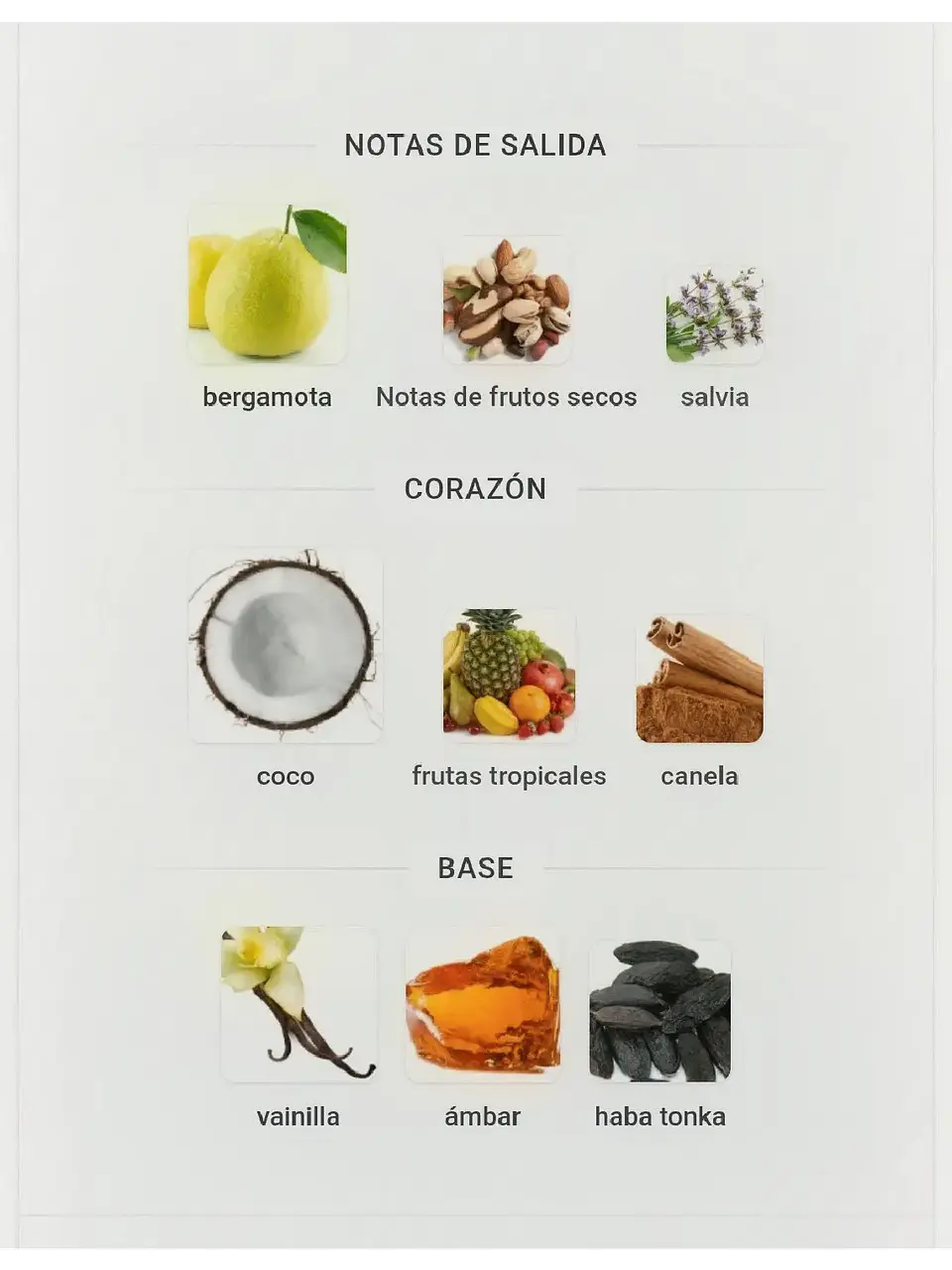 Armaf Odyssey Artisto The Red Edition Armaf 100 Ml EDP RF: 11404-EC8515 4