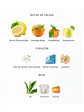 Odyssey Limoni Fresh Armaf 100 Ml EDP RF: 10980EC4808 - Miniatura 4