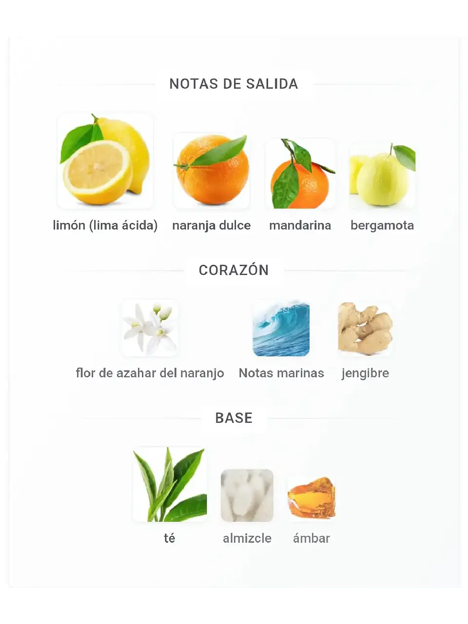 Odyssey Limoni Fresh Armaf 100 Ml EDP RF: 10980EC4808 4