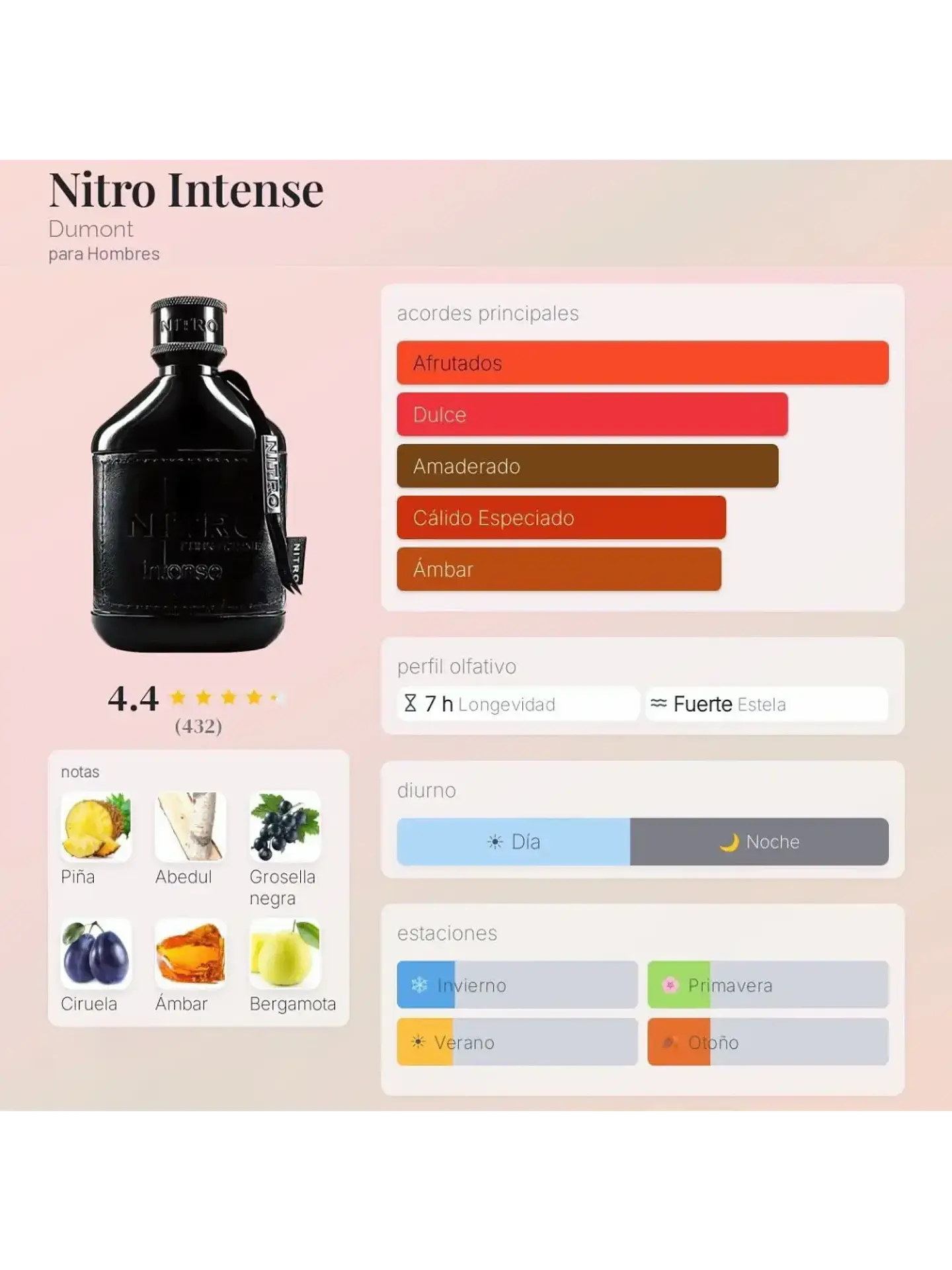 Nitro Intense Dumont Paris 100 Ml EDP RF: 11389 6