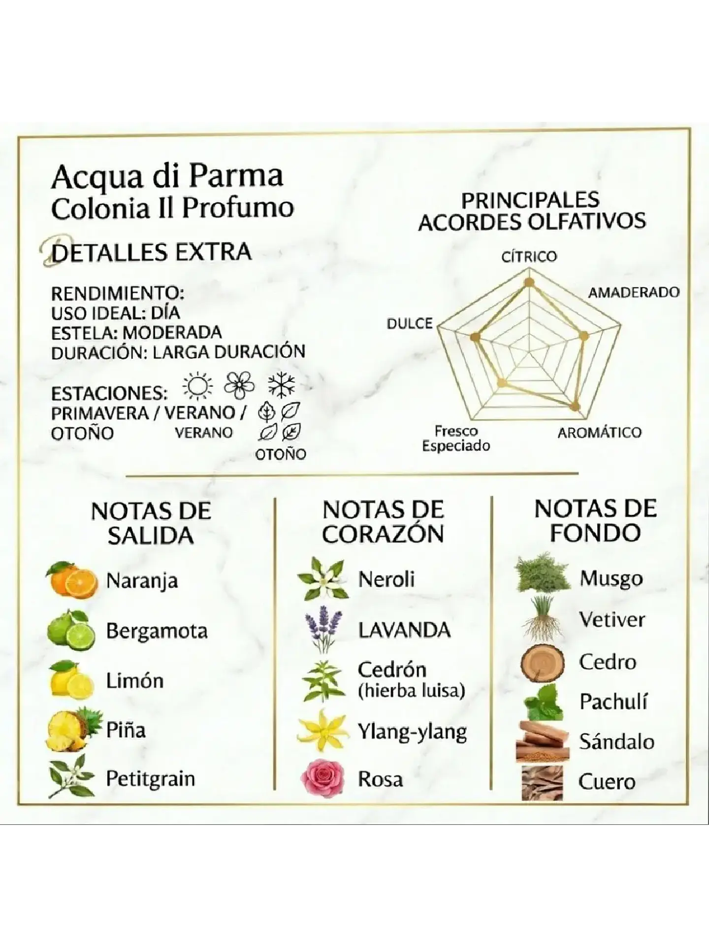 Acqua Di Parma Colonia Il Profumo EDP Spray 180 ML (6 oz) Unisex RF: RFPUNXJMSP-Z-JD2BM 4