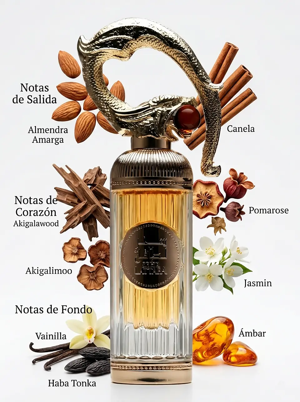 Sehr Lattafa Unisex Eau De Parfum 100 ml  13