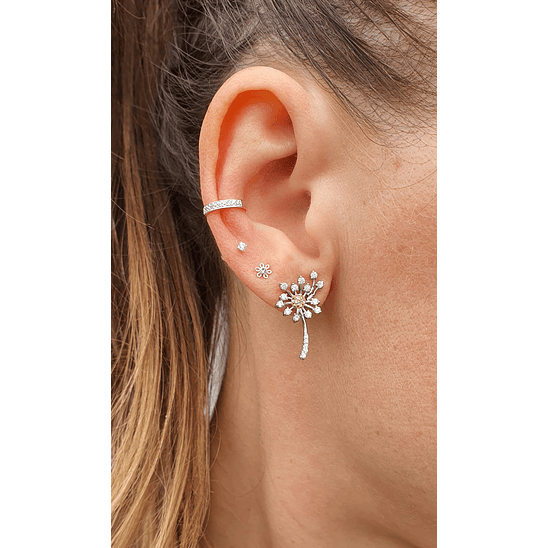 Conjunto dandelion 2