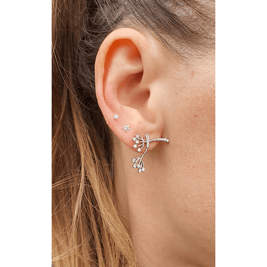 Conjunto dandelion 3