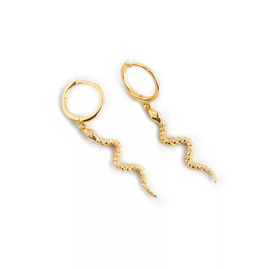 Argollas con serpiente 2
