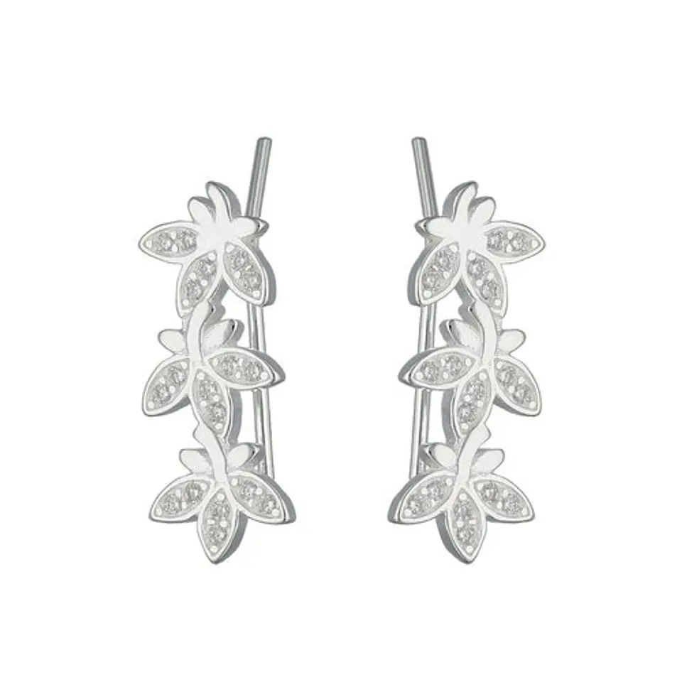 Trepadores  de flores 2