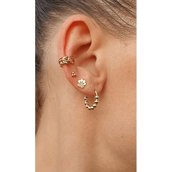 Pata de perro 6 mm 3