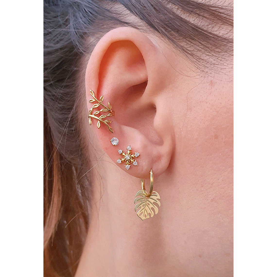 Argollas monstera deliciosa  2