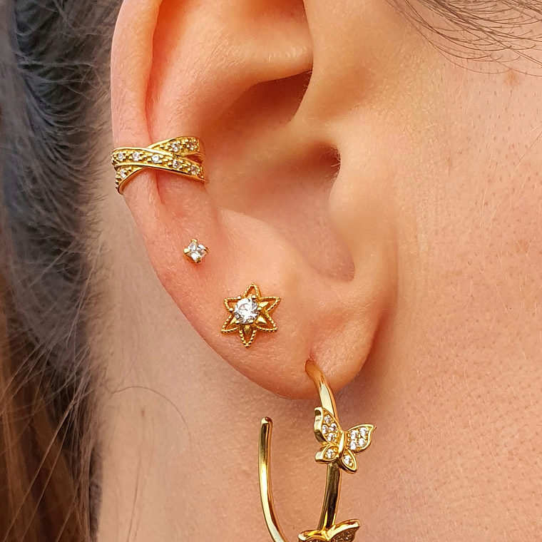 Semi argollas mariposas 2