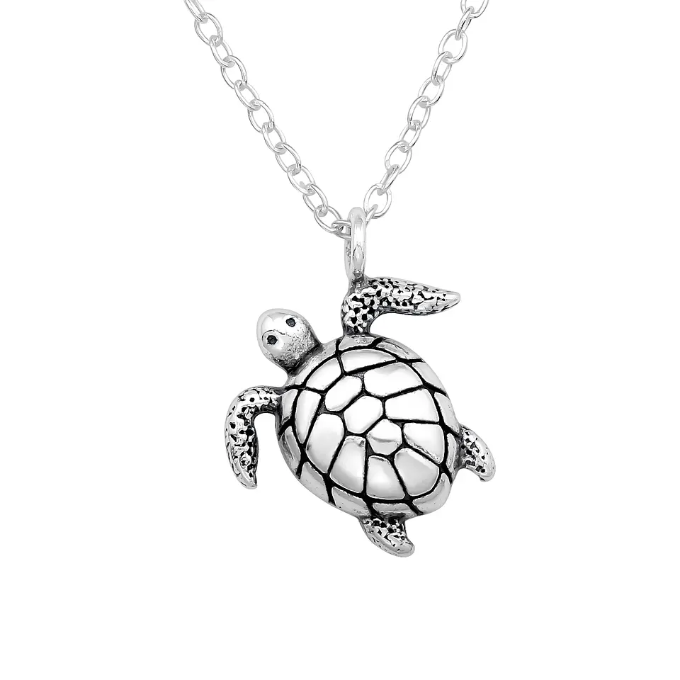 Collar tortuga 3