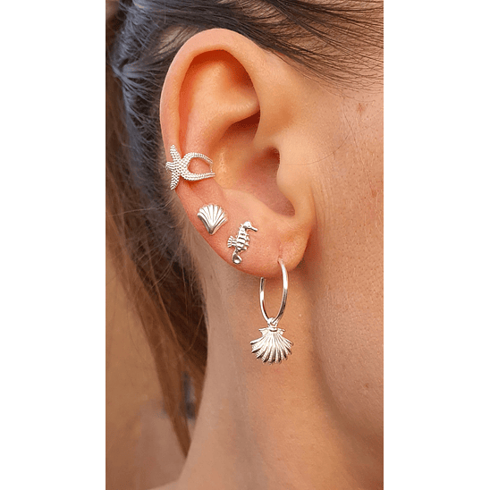 Cuff estrella de mar 2