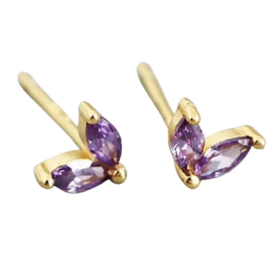 Circones púrpura  1