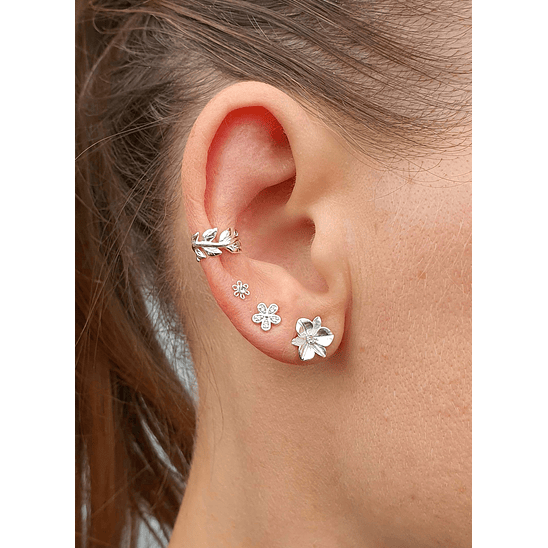 Conjunto de flores 3